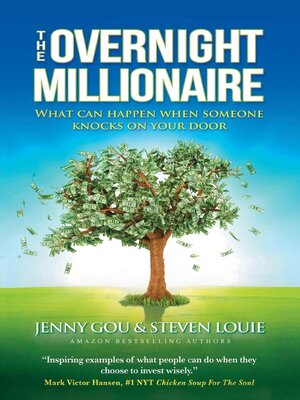 cover image of THE OVERNIGHT MILLIONAIRE